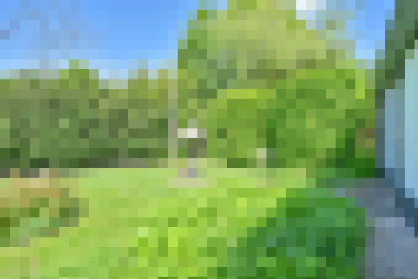 Weerdingerweg 7 Valthe thumbnail 15