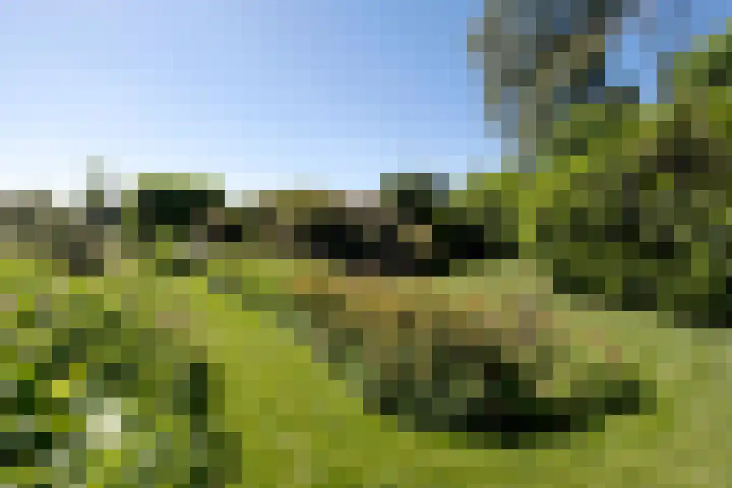 Weerdingerweg 7 Valthe thumbnail 16