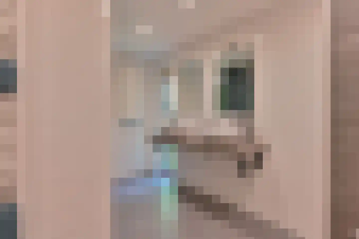Weerdingerweg 7 Valthe thumbnail 39