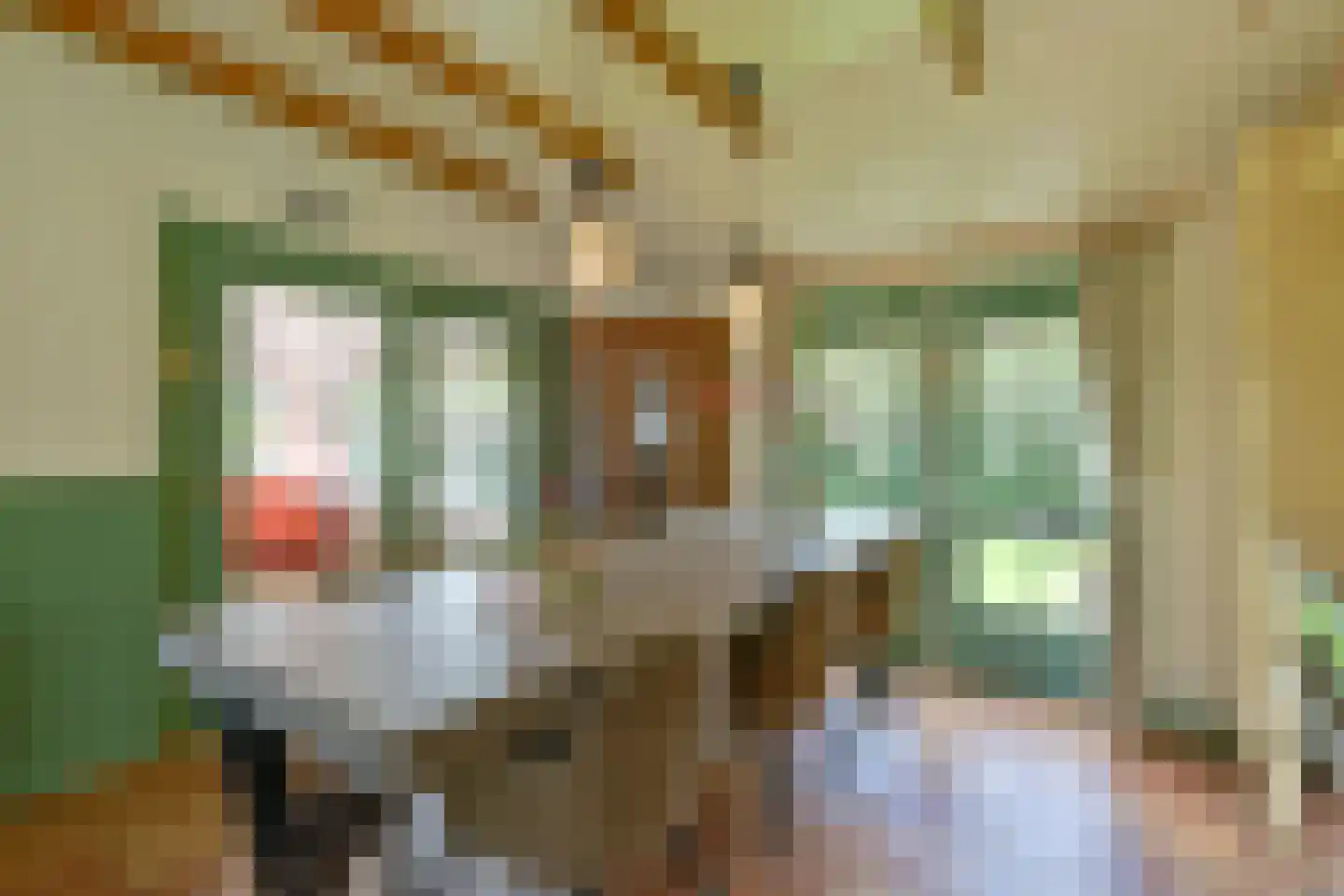 Weerdingerweg 7 Valthe thumbnail 59