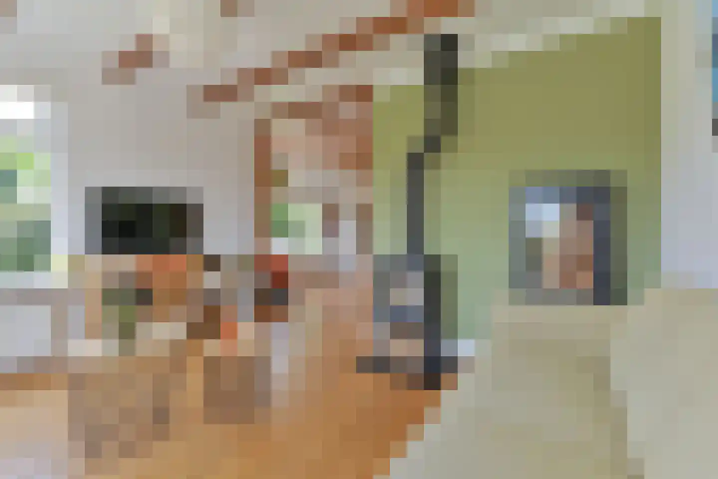 Weerdingerweg 7 Valthe thumbnail 74