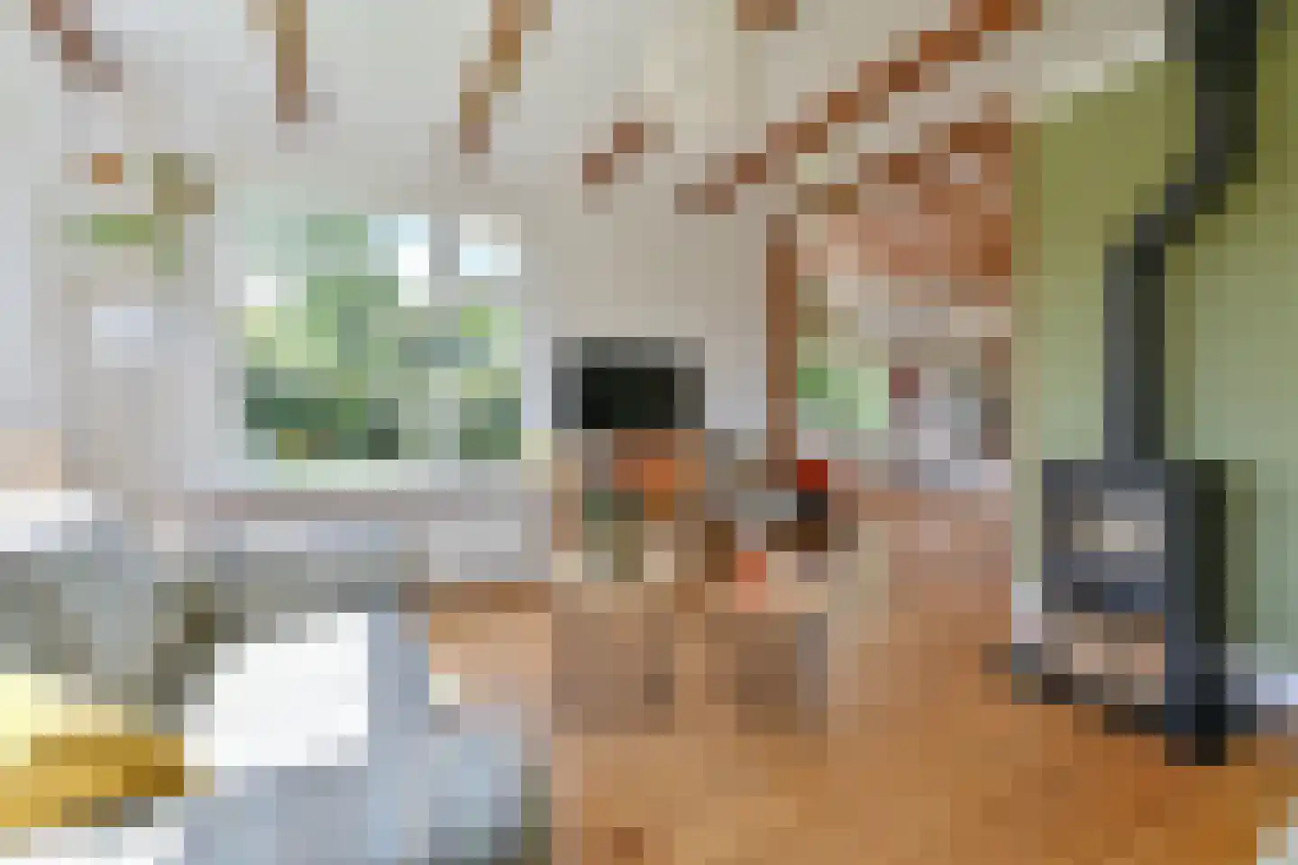 Weerdingerweg 7 Valthe thumbnail 75