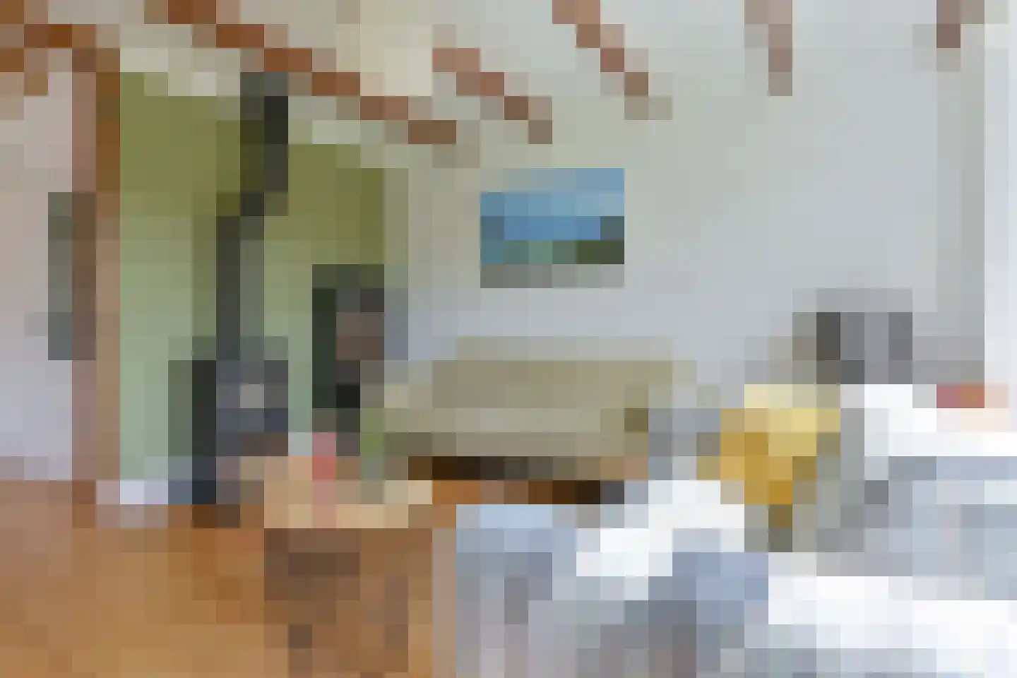 Weerdingerweg 7 Valthe thumbnail 76