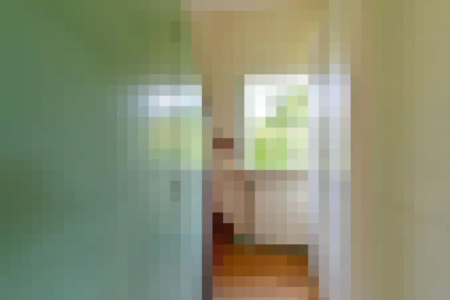 Weerdingerweg 7 Valthe thumbnail 83