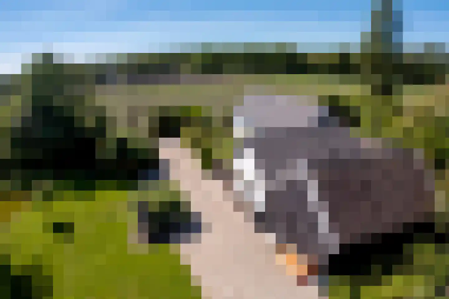 Weerdingerweg 7 Valthe thumbnail 95