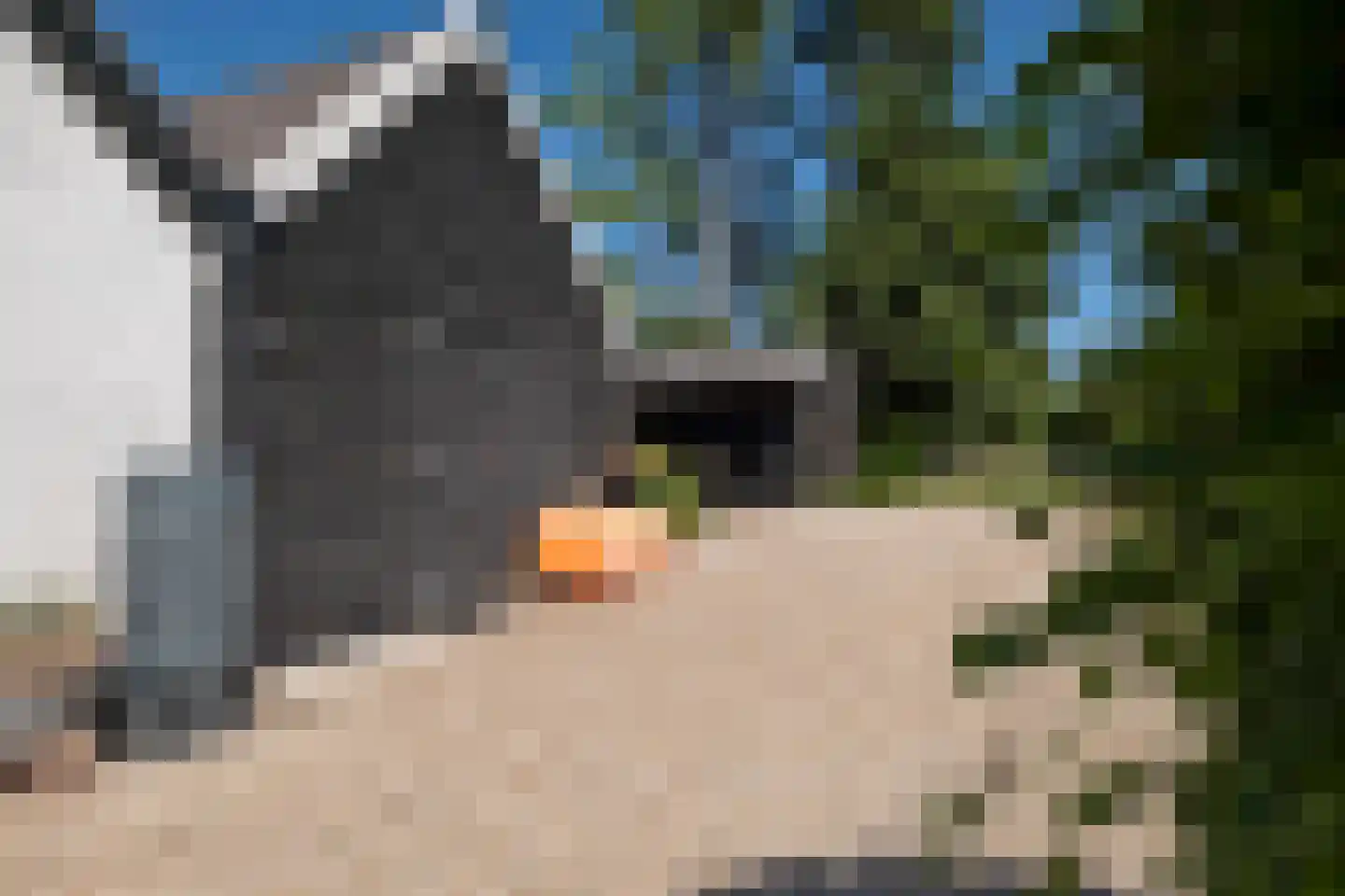 Weerdingerweg 7 Valthe thumbnail 99