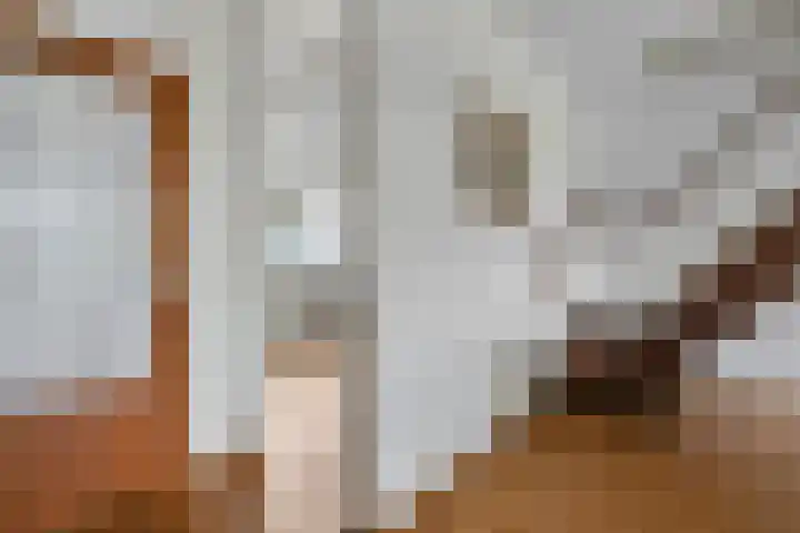 Weerdjeslaan 18 Doetinchem thumbnail 16