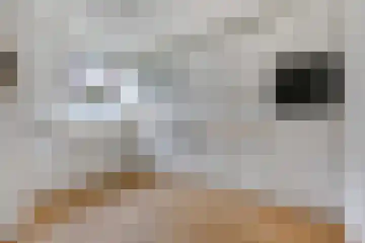 Weerdjeslaan 18 Doetinchem thumbnail 17