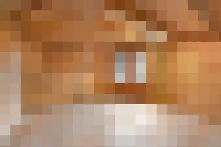 Weerdjeslaan 18 Doetinchem thumbnail 26