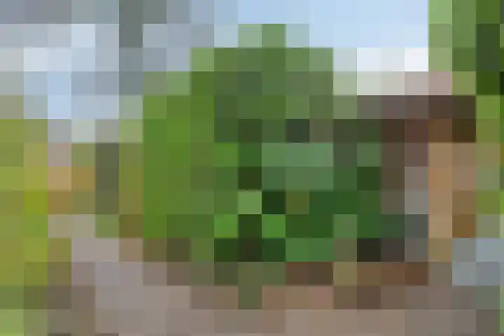 Weerdjeslaan 18 Doetinchem thumbnail 28