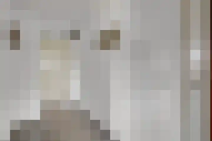 Weerdjeslaan 18 Doetinchem thumbnail 33
