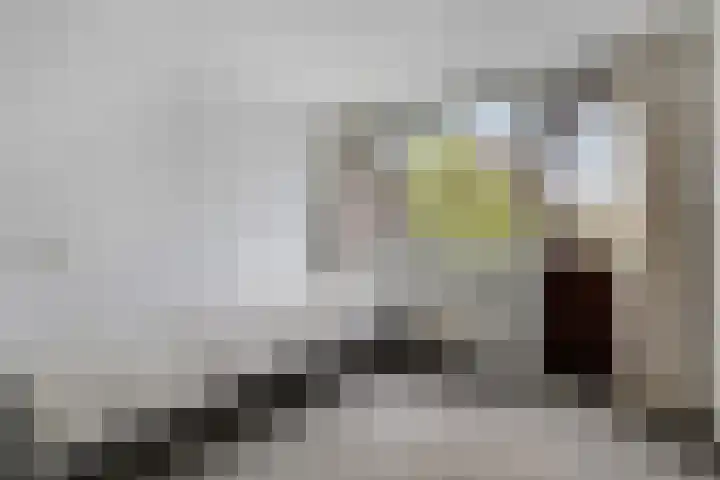 Weerdjeslaan 18 Doetinchem thumbnail 34