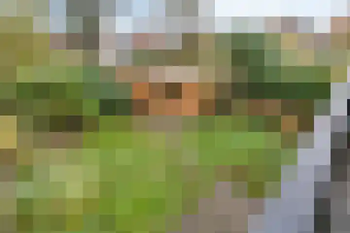 Weerdjeslaan 18 Doetinchem thumbnail 37