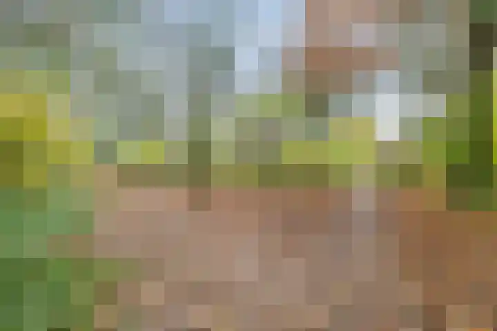 Weerdjeslaan 18 Doetinchem thumbnail 47