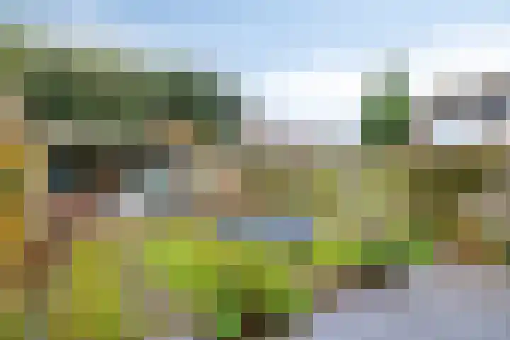 Weerdjeslaan 52 Doetinchem thumbnail 22