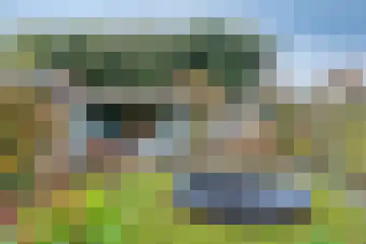 Weerdjeslaan 52 Doetinchem thumbnail 23