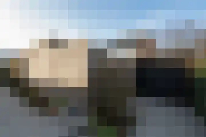 Weerdjeslaan 52 Doetinchem thumbnail 30