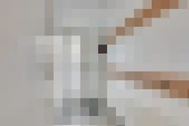 Weerdjeslaan 52 Doetinchem thumbnail 33