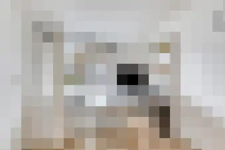 Weerdjeslaan 52 Doetinchem thumbnail 43