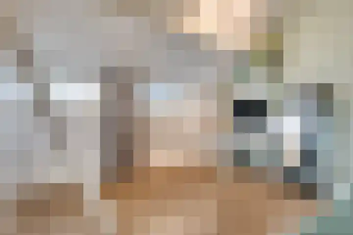 Weerdjeslaan 52 Doetinchem thumbnail 48