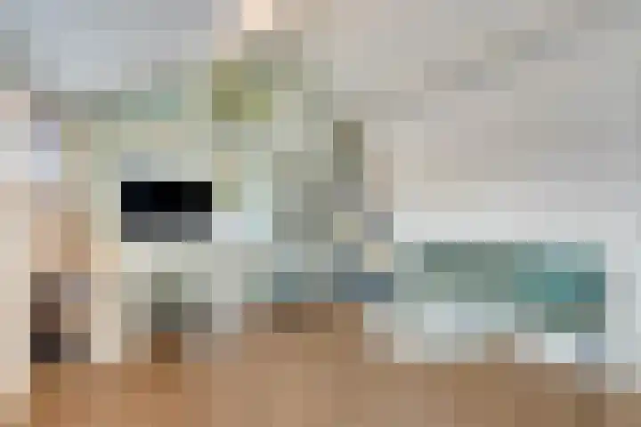 Weerdjeslaan 52 Doetinchem thumbnail 49