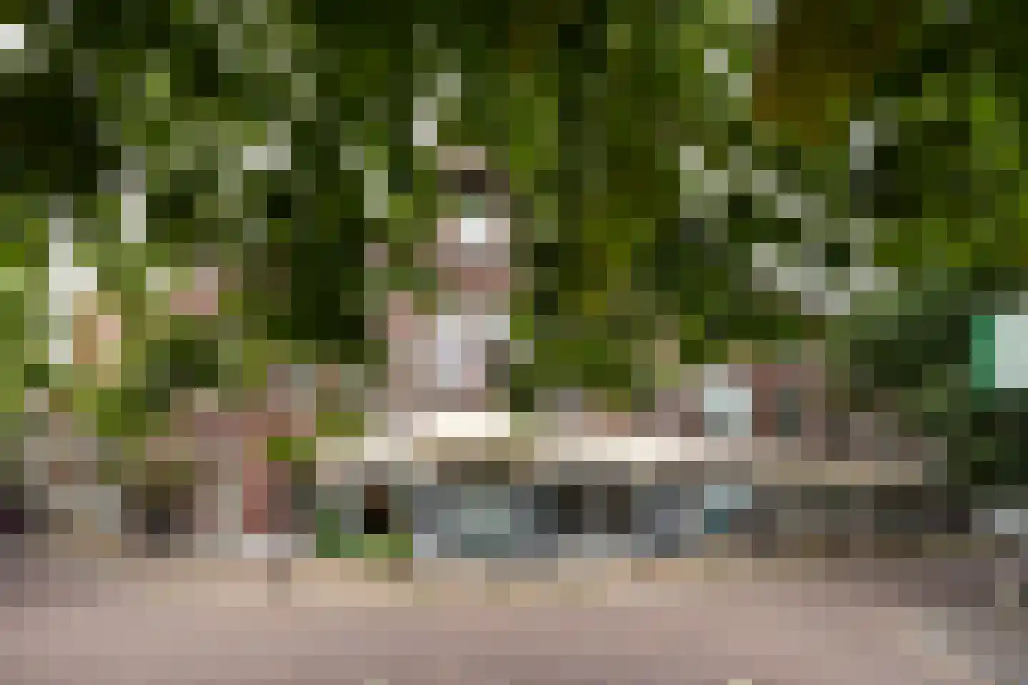 Weerdsingel O.Z. 1 Utrecht thumbnail 23