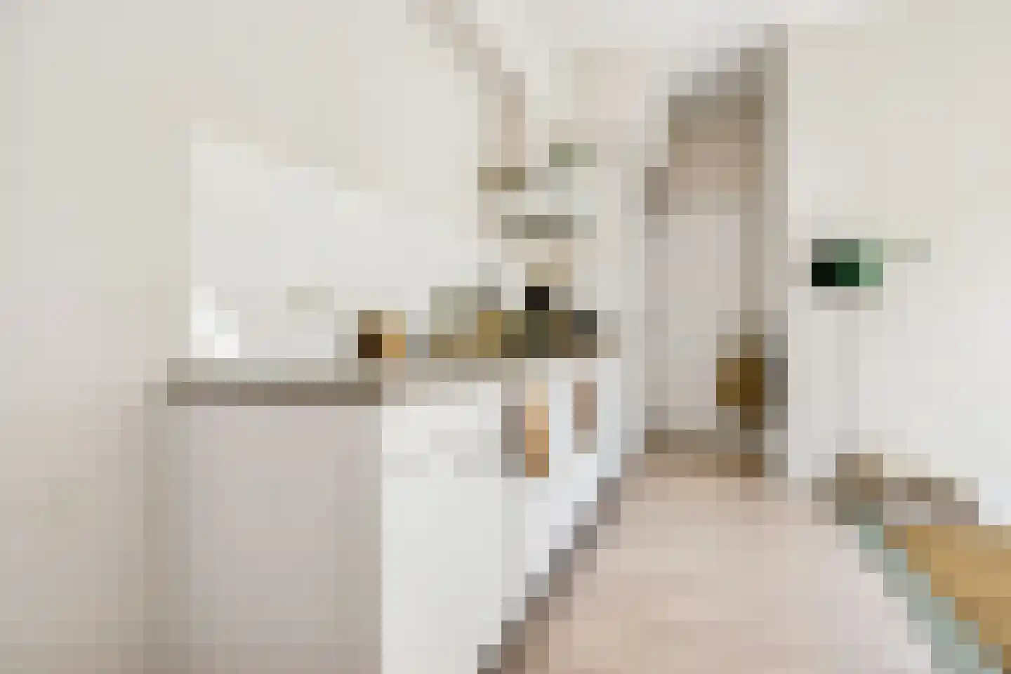 Weerdsingel O.Z. 67 B Utrecht thumbnail 7