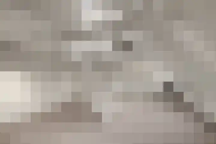 Weerdsingel O.Z. 67 D Utrecht thumbnail 5