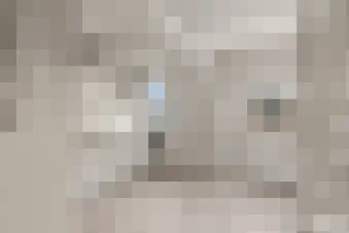 Weerdsingel O.Z. 67 D Utrecht thumbnail 6
