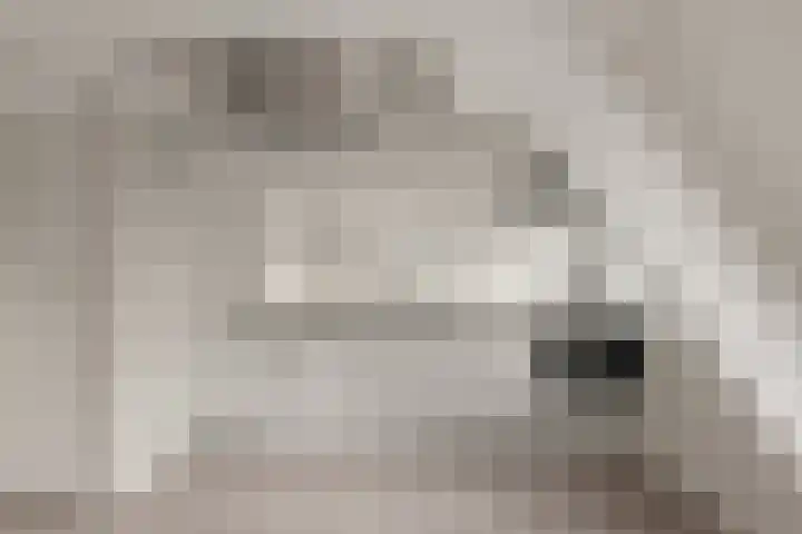 Weerdsingel O.Z. 67 D Utrecht thumbnail 7