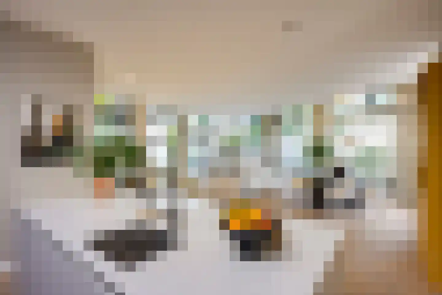 Weerdsingel O.Z. 68 J Utrecht thumbnail 20