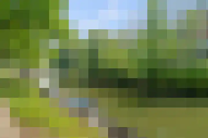 Weerdsingel O.Z. 69 B Utrecht thumbnail 30