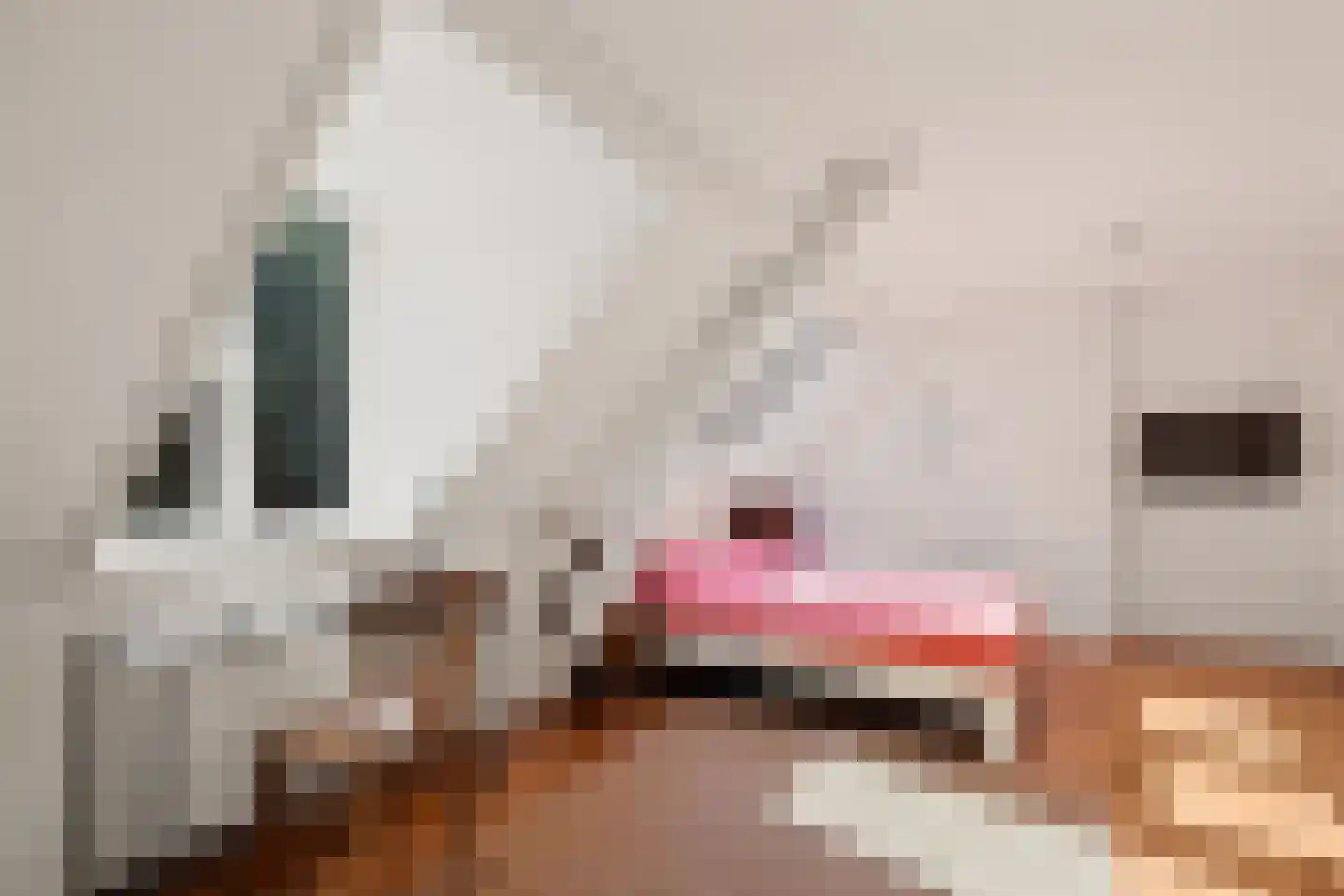 Weerdsingel O.Z. 70 Utrecht thumbnail 30