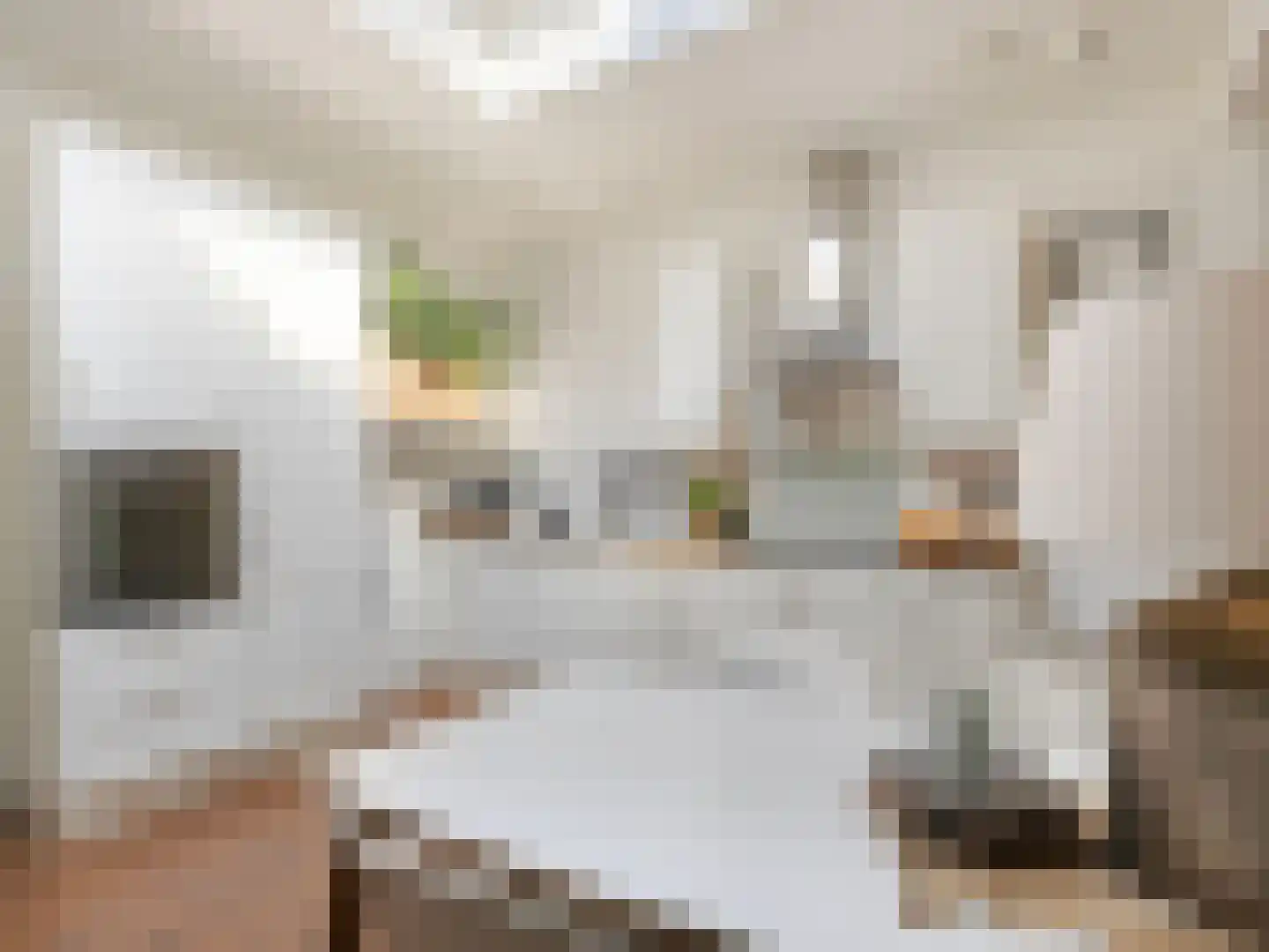 Weerdsingel W.Z. 18 N Utrecht thumbnail 7