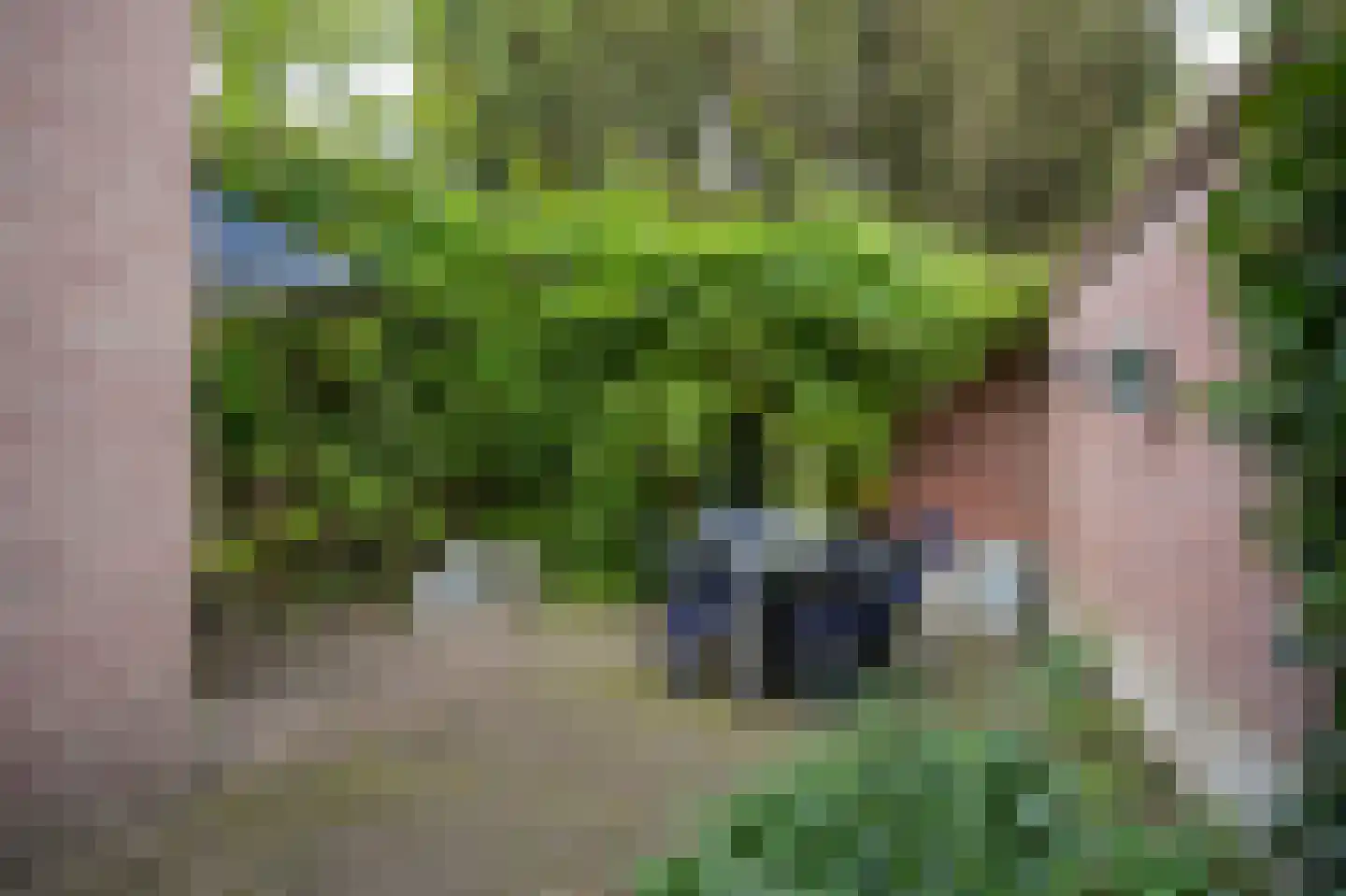 Weerdsingel W.Z. 58 Utrecht thumbnail 5