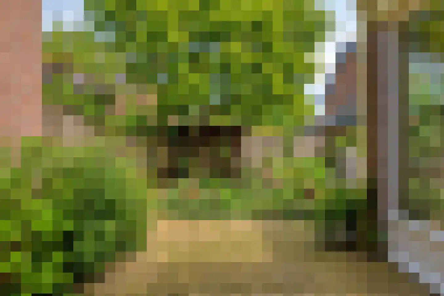 Weerdslag 101 Zutphen thumbnail 30
