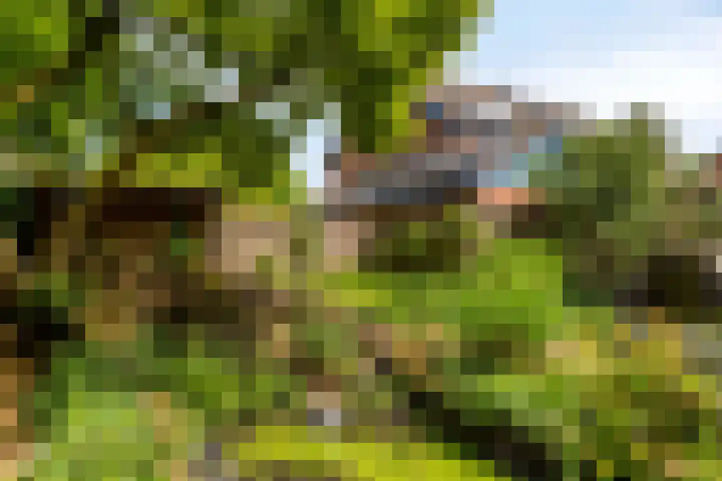 Weerdslag 101 Zutphen thumbnail 31