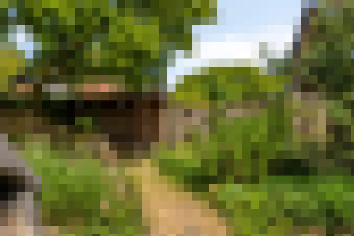 Weerdslag 101 Zutphen thumbnail 32