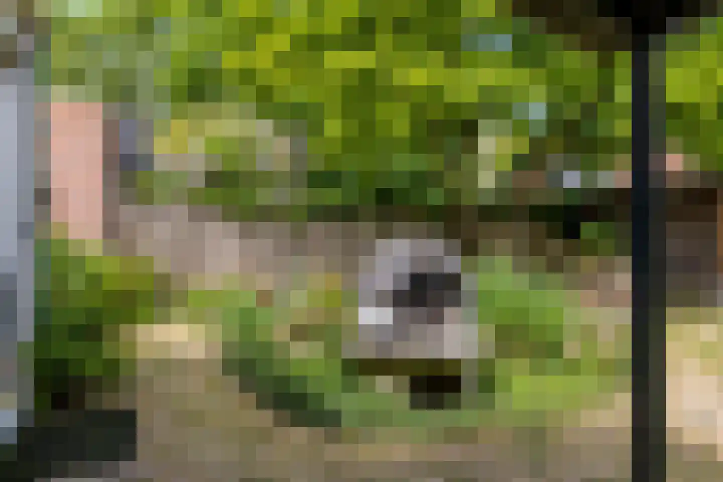 Weerdslag 101 Zutphen thumbnail 34