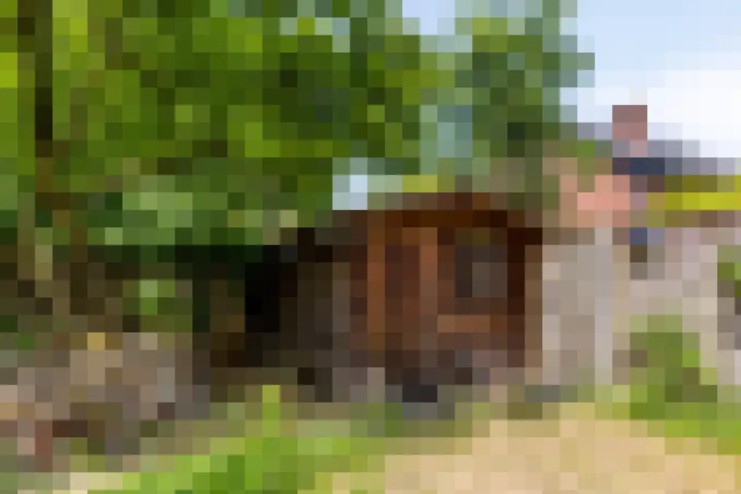 Weerdslag 101 Zutphen thumbnail 36