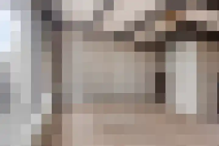 Weerdslag 121 Zutphen thumbnail 16