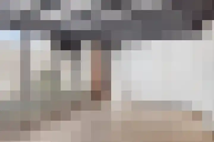 Weerdslag 121 Zutphen thumbnail 20