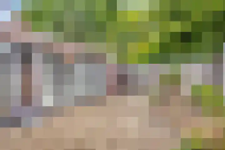 Weerdslag 121 Zutphen thumbnail 28