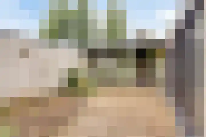 Weerdslag 121 Zutphen thumbnail 30
