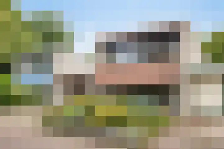 Weerdslag 121 Zutphen thumbnail 31