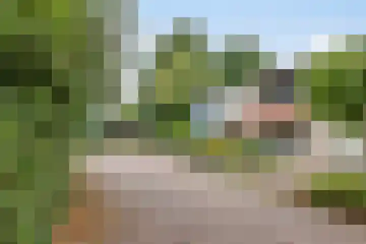 Weerdslag 121 Zutphen thumbnail 33