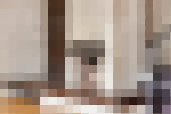 Weerdslag 121 Zutphen thumbnail 6