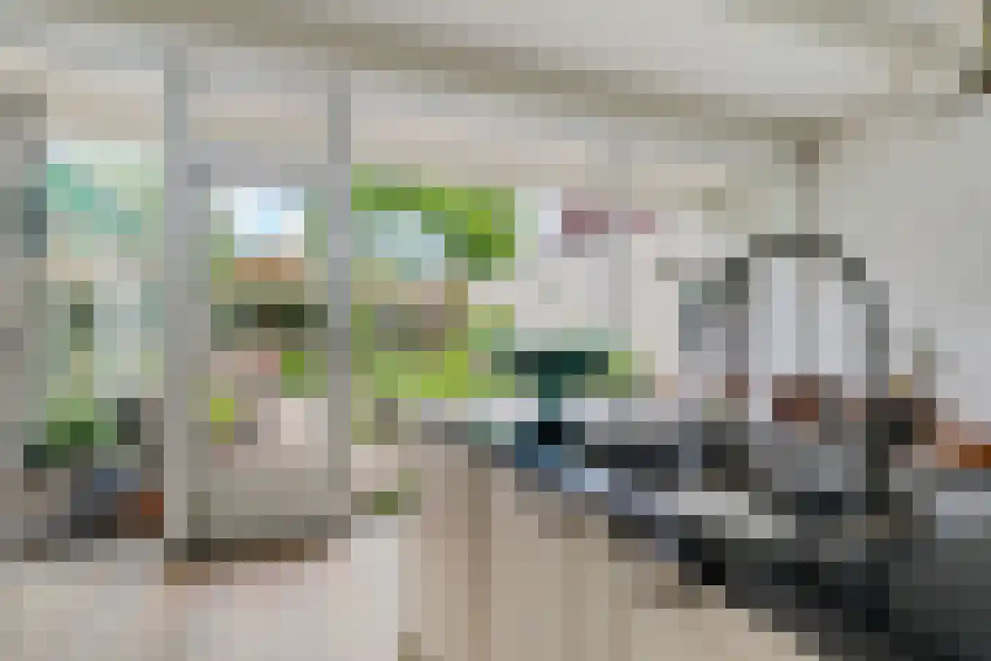 Weerdslag 123 Zutphen thumbnail 15
