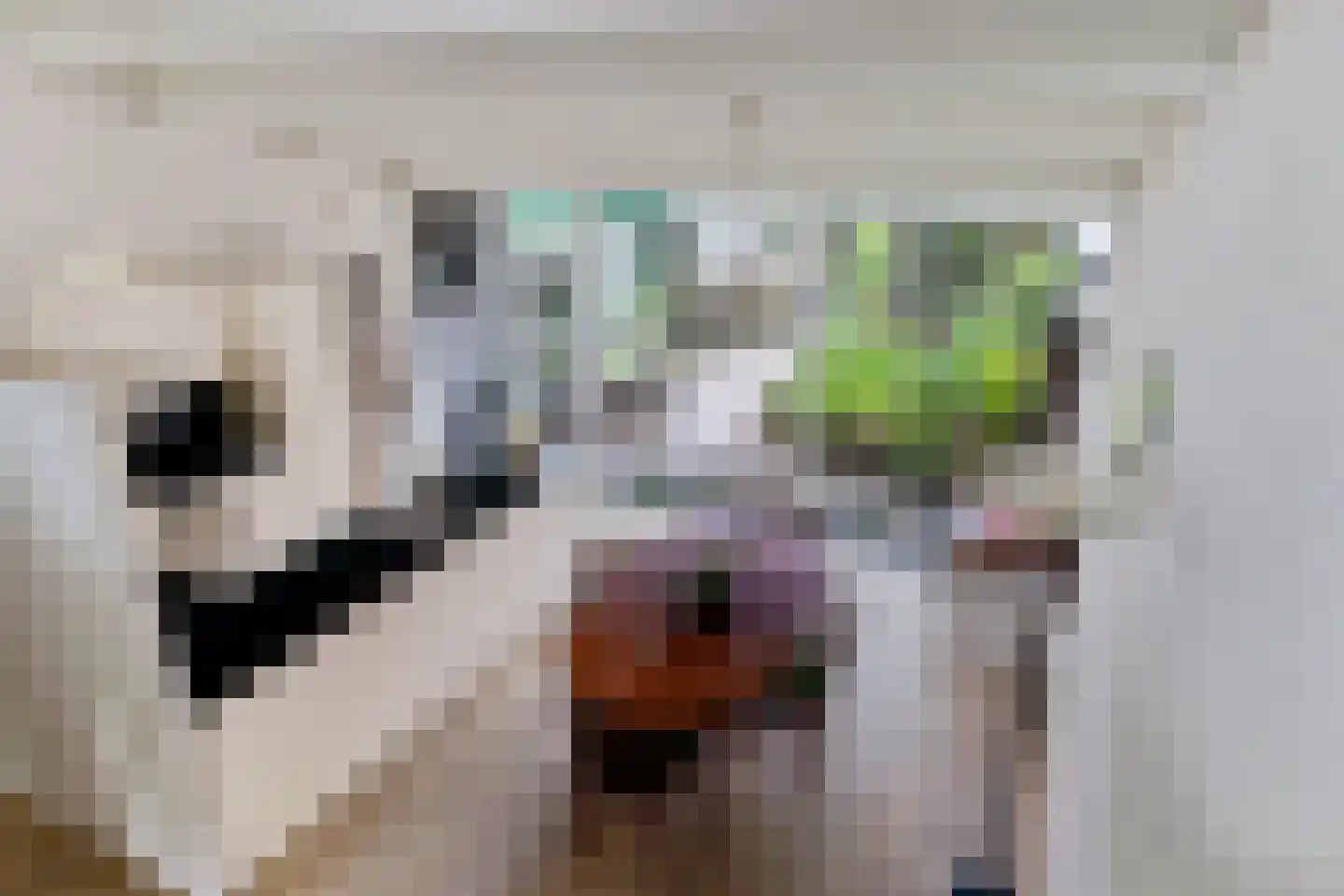 Weerdslag 123 Zutphen thumbnail 17