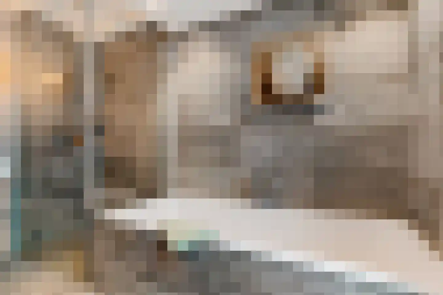 Weerdslag 123 Zutphen thumbnail 23